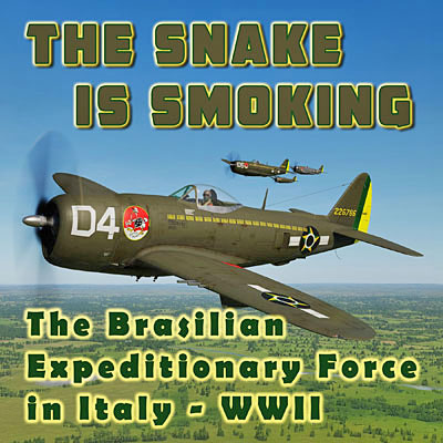 Brazilian-Expeditionary-Force-use